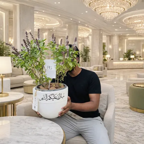 نبات الريحان رقم.26234